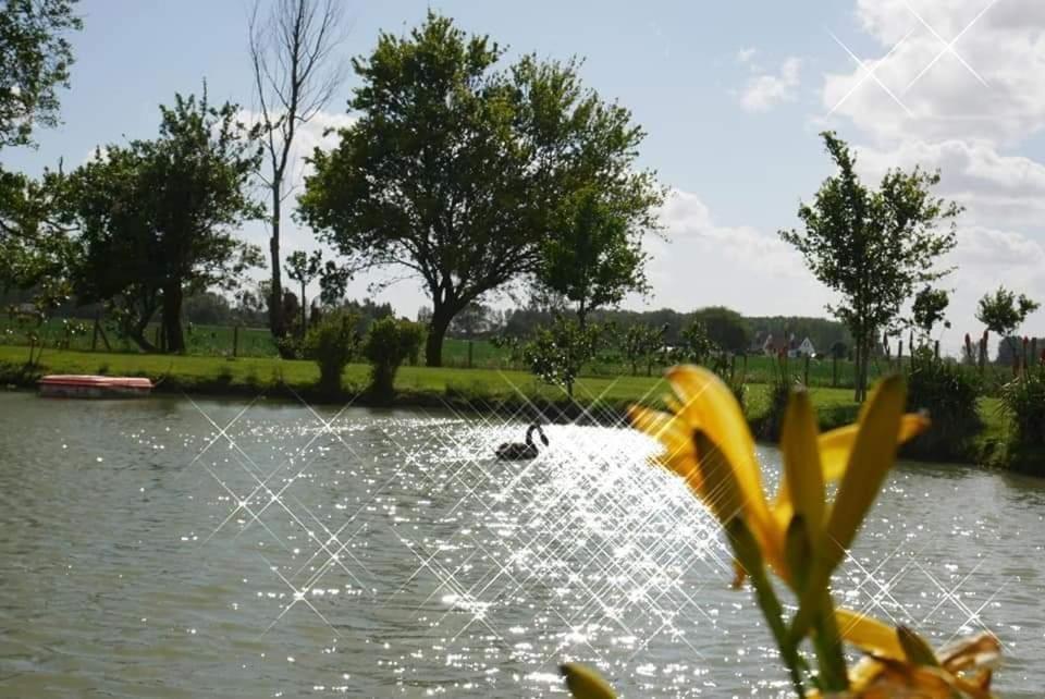 Gite Canard Fromelles エクステリア 写真