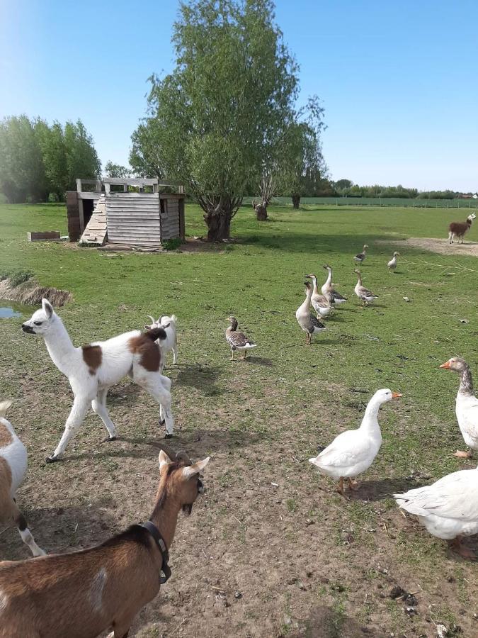 Gite Canard Fromelles エクステリア 写真
