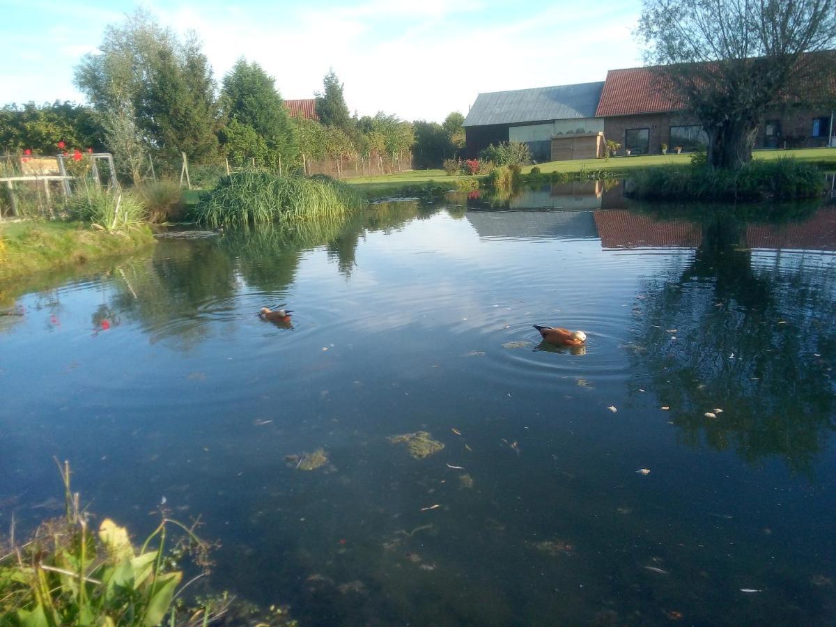 Gite Canard Fromelles エクステリア 写真